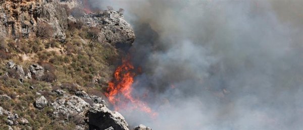 Yunanistan'da 1 Ağustos Yangın Uyarısı: İki Bölge İçin KIRMIZI ALARM, Sekiz Bölgede Çok Yüksek Risk