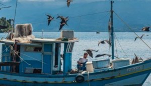 Yunanistan'da 10.743 Balıkçı Gemisini İzleme Sistemini Takip Ediyor