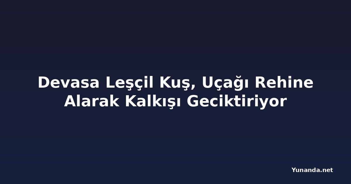 Devasa Leşçil Kuş, Uçağı Rehine Alarak Kalkışı Geciktiriyor