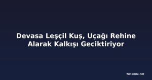 Devasa Leşçil Kuş, Uçağı Rehine Alarak Kalkışı Geciktiriyor