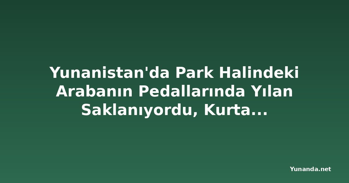 Yunanistan'da Park Halindeki Arabanın Pedallarında Yılan Saklanıyordu, Kurtarma Operasyonu Kötü Sona Erdi