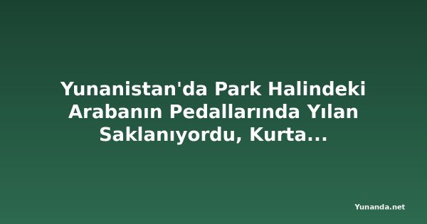 Yunanistan'da Park Halindeki Arabanın Pedallarında Yılan Saklanıyordu, Kurtarma Operasyonu Kötü Sona Erdi
