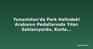 Yunanistan'da Park Halindeki Arabanın Pedallarında Yılan Saklanıyordu, Kurtarma Operasyonu Kötü Sona Erdi