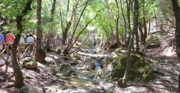 Kelebekler Rodos vadisini haftalar önce terk etti: Erken göçün nedeni ne?
