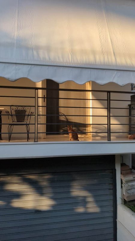 İsrail'den İngiltere'ye Sert Misilleme: Kudüs'teki İngiliz Konsolosluğu Kapatılıyor