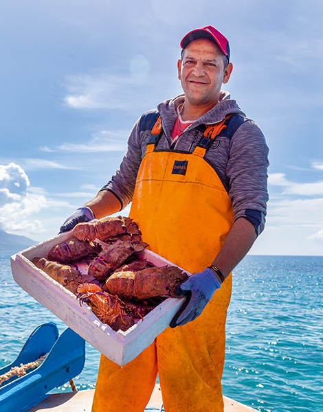 1b43b5dda9511f0d324b2ac676179b13.jpg