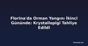 Florina'da Orman Yangını İkinci Gününde: Krystallopigi Tahliye Edildi