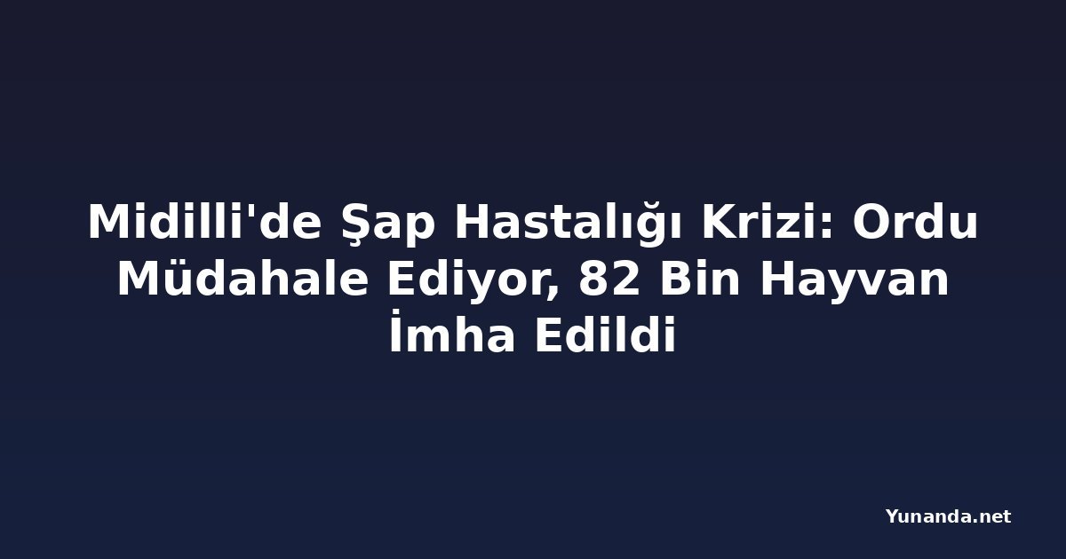 Midilli'de Şap Hastalığı Krizi: Ordu Müdahale Ediyor, 82 Bin Hayvan İmha Edildi