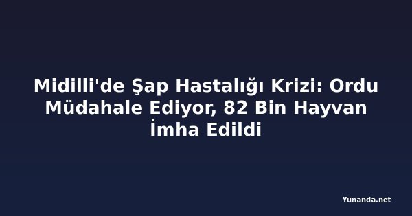 Midilli'de Şap Hastalığı Krizi: Ordu Müdahale Ediyor, 82 Bin Hayvan İmha Edildi