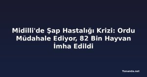 Midilli'de Şap Hastalığı Krizi: Ordu Müdahale Ediyor, 82 Bin Hayvan İmha Edildi