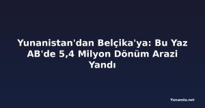 Yunanistan'dan Belçika'ya: Bu Yaz AB'de 5,4 Milyon Dönüm Arazi Yandı