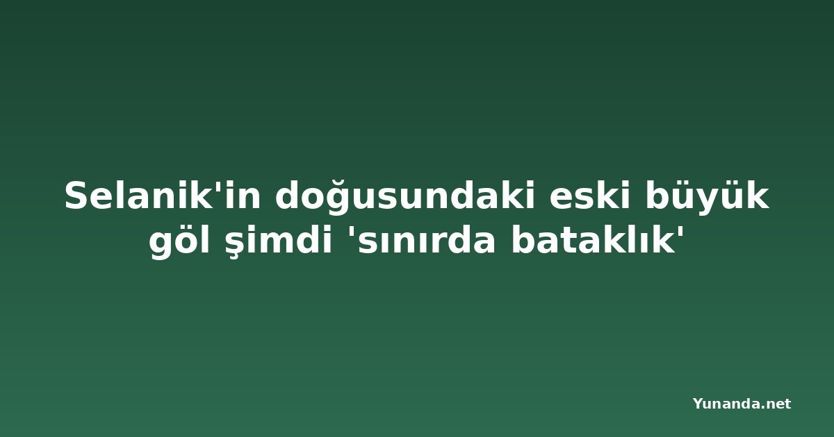 Selanik'in doğusundaki eski büyük göl şimdi 'sınırda bataklık'
