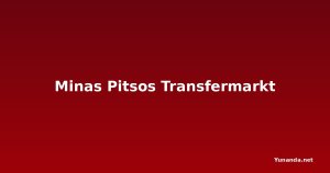 Minas Pitsos Transfermarkt