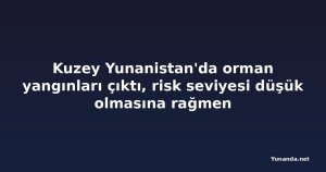 Kuzey Yunanistan'da orman yangınları çıktı, risk seviyesi düşük olmasına rağmen