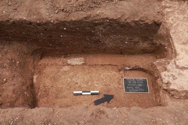 Mieza'da kazı Aristoteles'in Büyük İskender için okulunu gün yüzüne çıkarıyor
