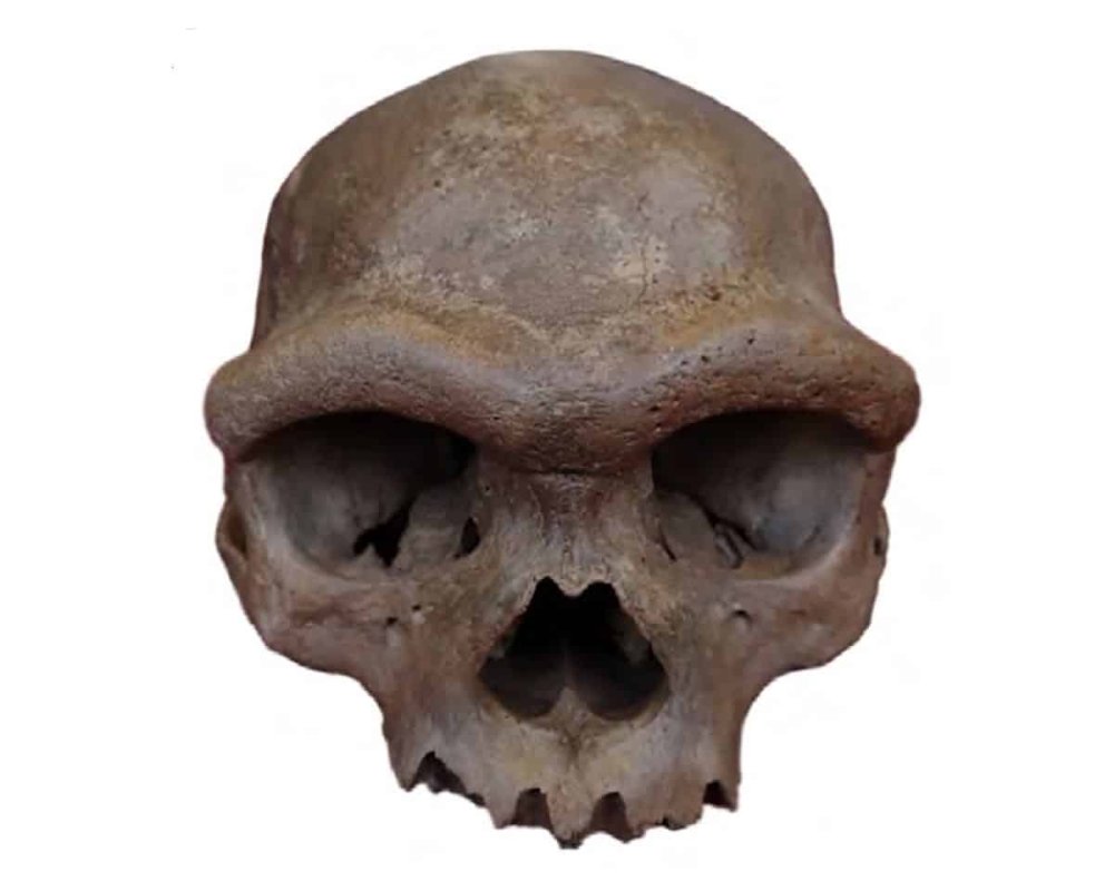 Denisovanlar 1,8 Milyon Yıl Önce Yaşamış Bilinmeyen İnsan Soyundan DNA Taşıyordu