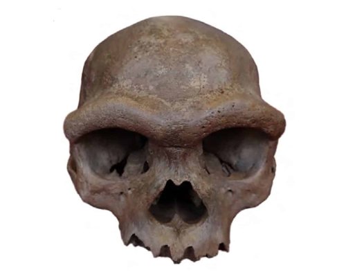 Denisovanlar 1,8 Milyon Yıl Önce Yaşamış Bilinmeyen İnsan Soyundan DNA Taşıyordu