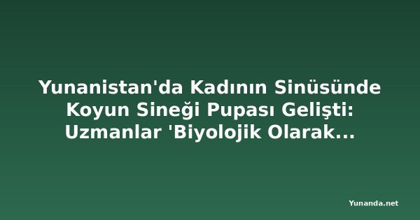 Yunanistan'da Kadının Sinüsünde Koyun Sineği Pupası Gelişti: Uzmanlar 'Biyolojik Olarak İmkansız' Diyor