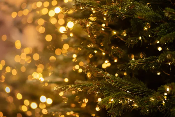 Yunanistan Kamu Çalışanlarına 500 Euro'luk Noel İkramiyesi Ödeyecek