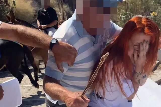 Santorini'de Eşek Sahiplerinden Hayvan Hakları Savunucularına Şiddet: PETA Üyeleri Darp Edildi