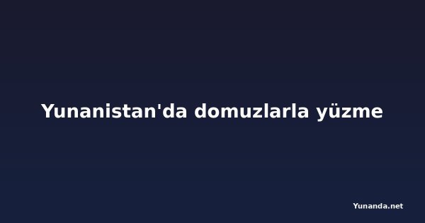 Yunanistan'da domuzlarla yüzme