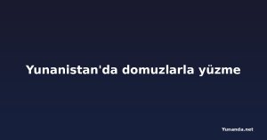 Yunanistan'da domuzlarla yüzme
