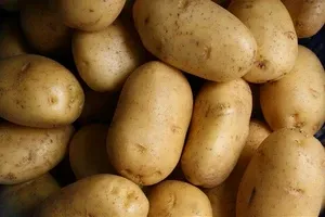 Ünlü Naksos patatesi su, iş gücü ve ithalat baskısı altında