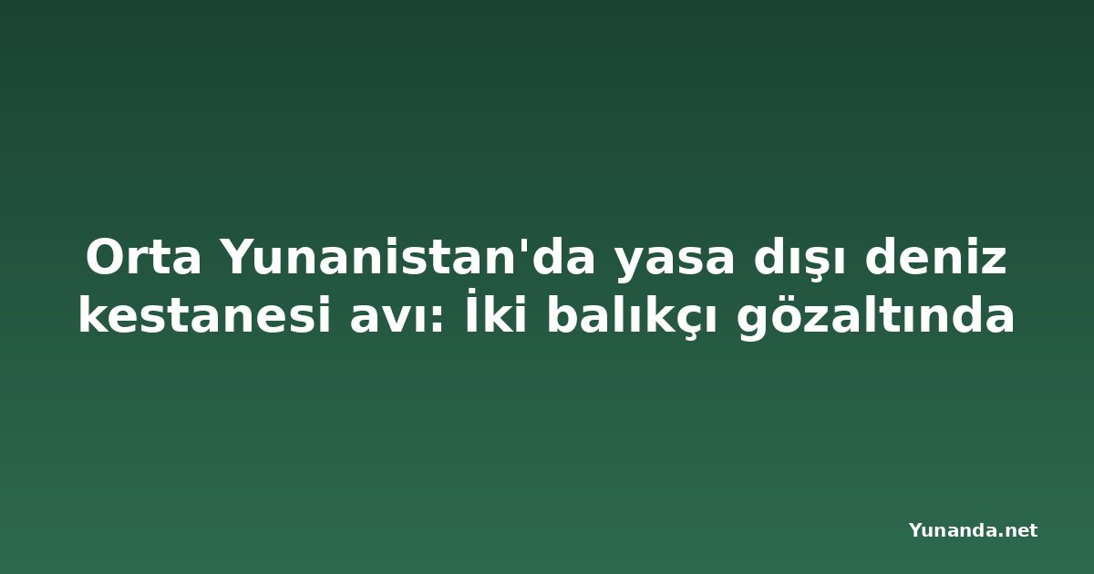 Orta Yunanistan'da yasa dışı deniz kestanesi avı: İki balıkçı gözaltında