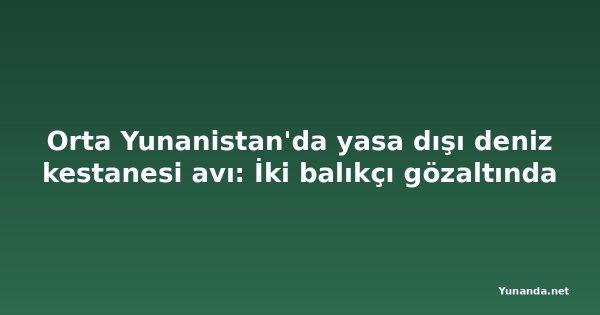 Orta Yunanistan'da yasa dışı deniz kestanesi avı: İki balıkçı gözaltında