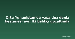 Orta Yunanistan'da yasa dışı deniz kestanesi avı: İki balıkçı gözaltında
