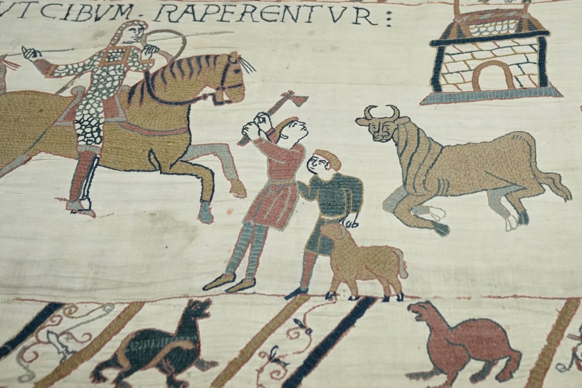Fethin Hikayesi ve Dostluğun Simgesi: Bayeux Halısı British Museum'da Rekor Kırıyor