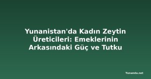 Yunanistan'da Kadın Zeytin Üreticileri: Emeklerinin Arkasındaki Güç ve Tutku