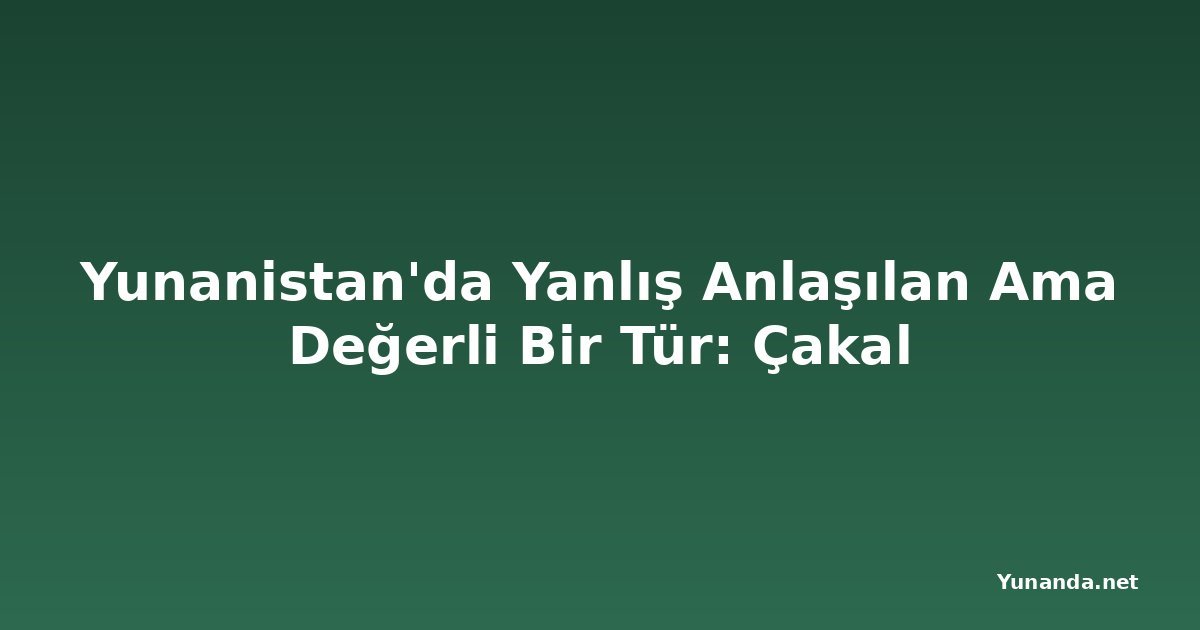 Yunanistan'da Yanlış Anlaşılan Ama Değerli Bir Tür: Çakal