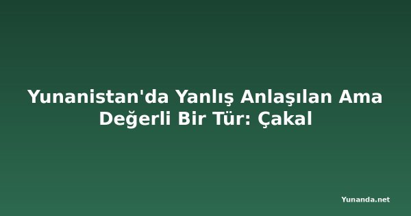 Yunanistan'da Yanlış Anlaşılan Ama Değerli Bir Tür: Çakal
