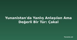 Yunanistan'da Yanlış Anlaşılan Ama Değerli Bir Tür: Çakal