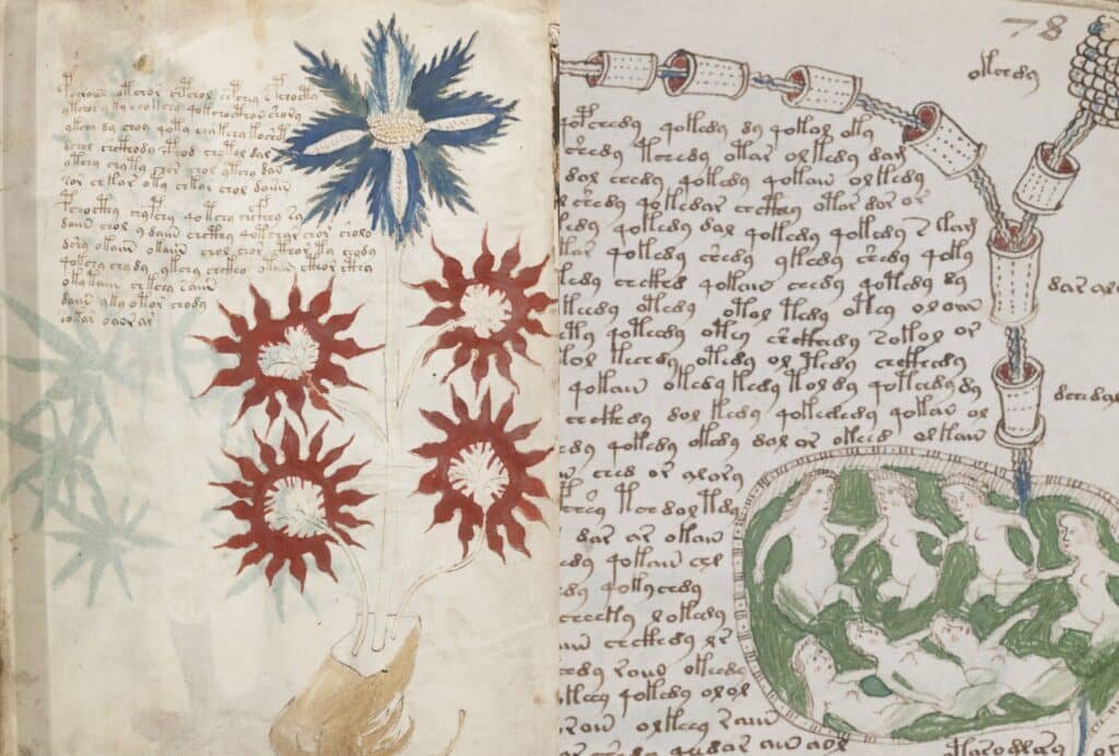 Kimsenin çözemediği 600 yıllık kitabın gizemi