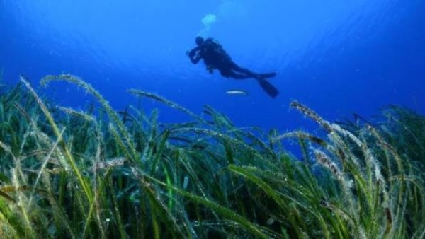 Kalymnos Fransa'da dalış turizmi iş birlikleri kuruyor