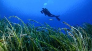 Kalymnos Fransa'da dalış turizmi iş birlikleri kuruyor