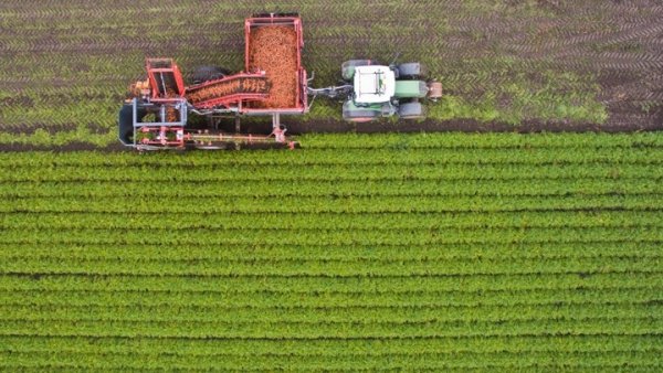 Yunanistan'ın organik tarım arazisi payı AB ortalamasının üstünde