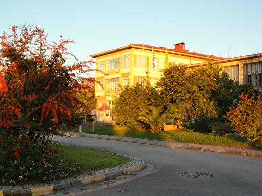 Patras Rektörü Öğrenci Kayıtlarındaki Düşüşe Alarm Verdi