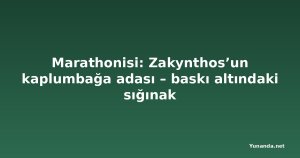 Marathonisi: Zakynthos’un kaplumbağa adası – baskı altındaki sığınak