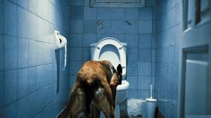 Yunan filmi Toronto Film Festivali'nde en iyi uluslararası kısa film ödülünü kazandı