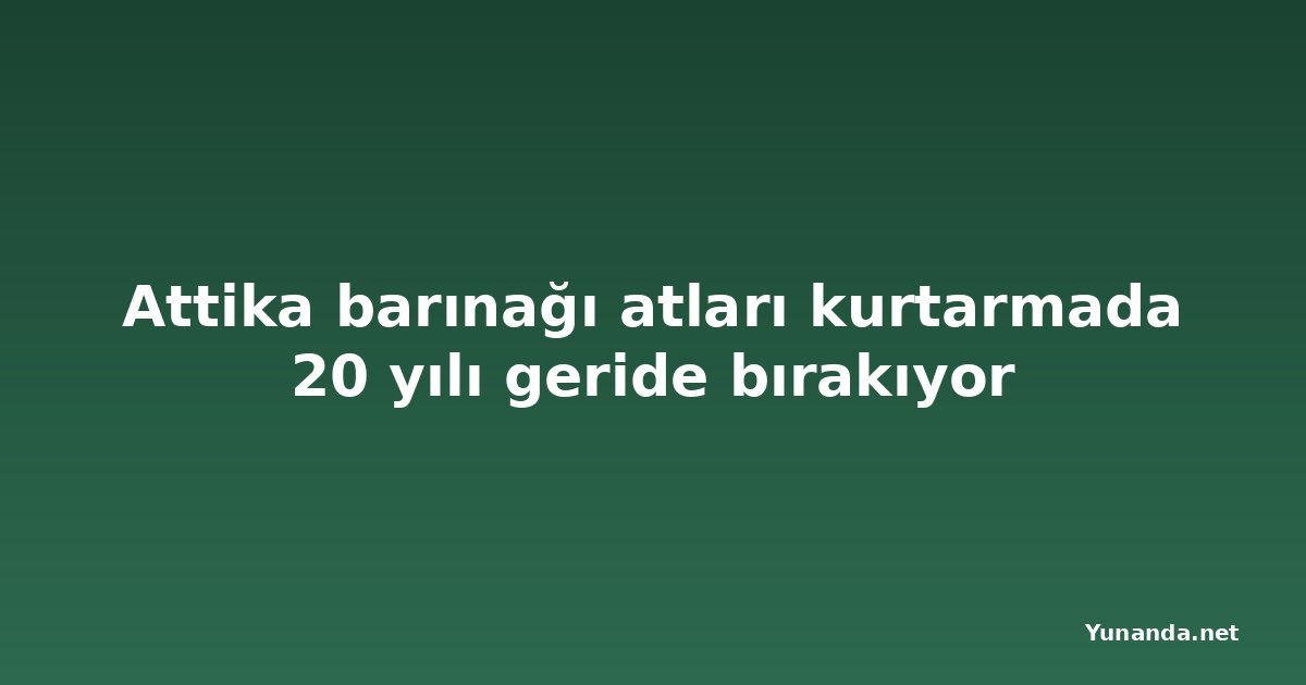 Attika barınağı atları kurtarmada 20 yılı geride bırakıyor