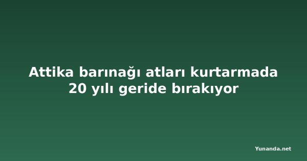 Attika barınağı atları kurtarmada 20 yılı geride bırakıyor