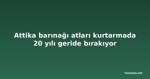 Attika barınağı atları kurtarmada 20 yılı geride bırakıyor