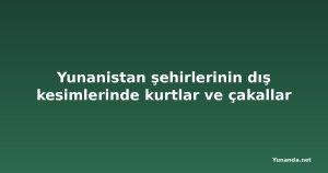 Yunanistan şehirlerinin dış kesimlerinde kurtlar ve çakallar