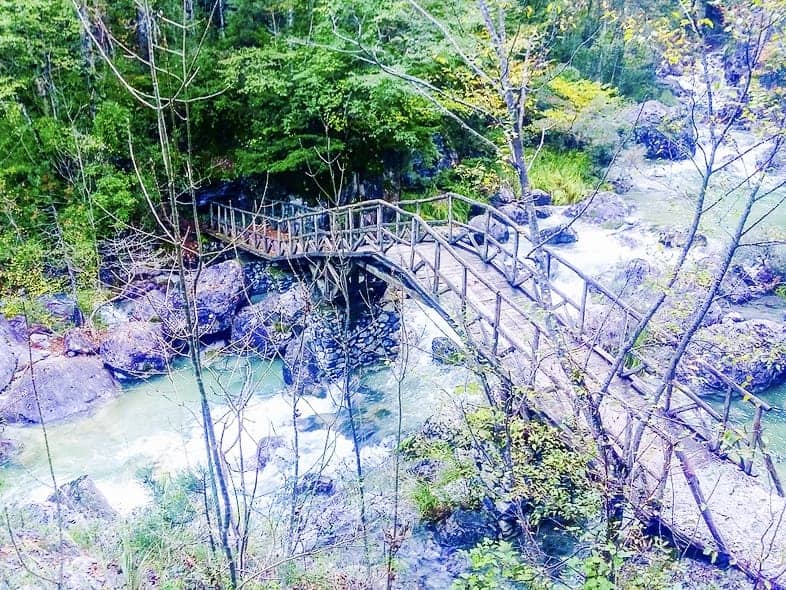 093498c8a493cef2079cfe93143c5d9c.jpg