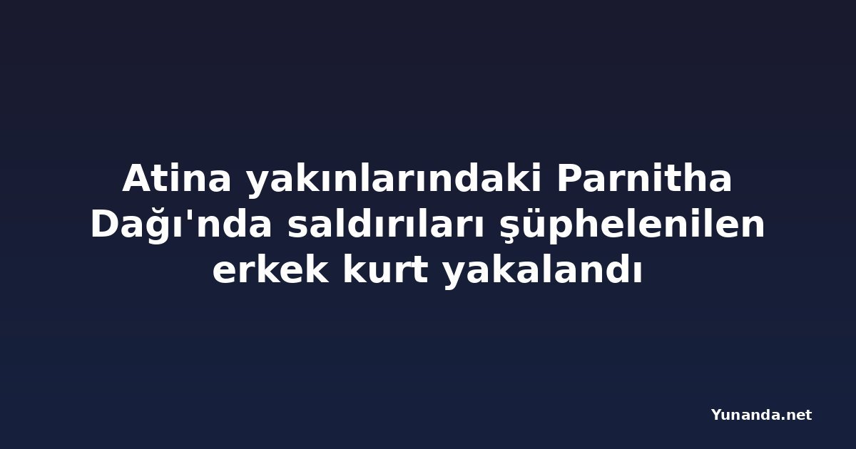 Atina yakınlarındaki Parnitha Dağı'nda saldırıları şüphelenilen erkek kurt yakalandı
