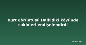 Kurt görüntüsü Halkidiki köyünde sakinleri endişelendirdi