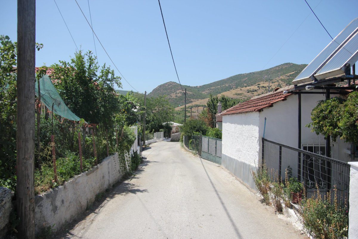 Tesprotia'da yaşlı iki kişi evinde ölü bulundu: Polis ortak intihar ihtimalini değerlendiriyor